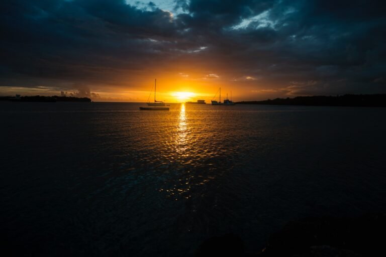 phil-botha-qzBNL3Do0KM-unsplash