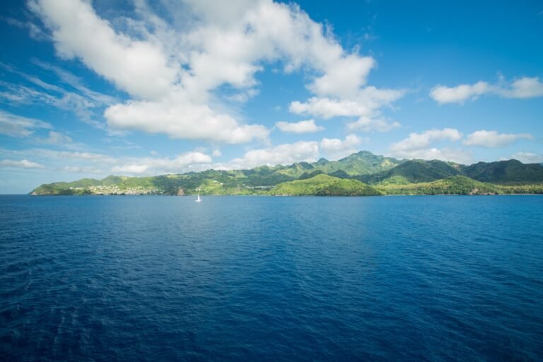 christian-lendl-L_WZfwg8kdA-unsplash